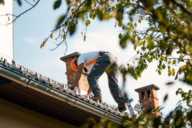 Best Commercial Roofing Services  in Verona, WI